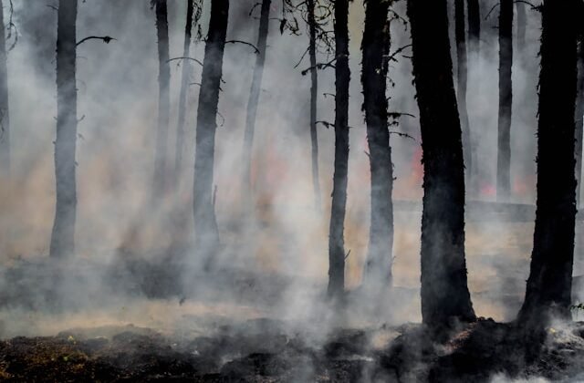 The Hawk Fire Cost $15.4 Million to Fight. That’s 64 Percent of Nevada’s Entire Average Wildfire Season.